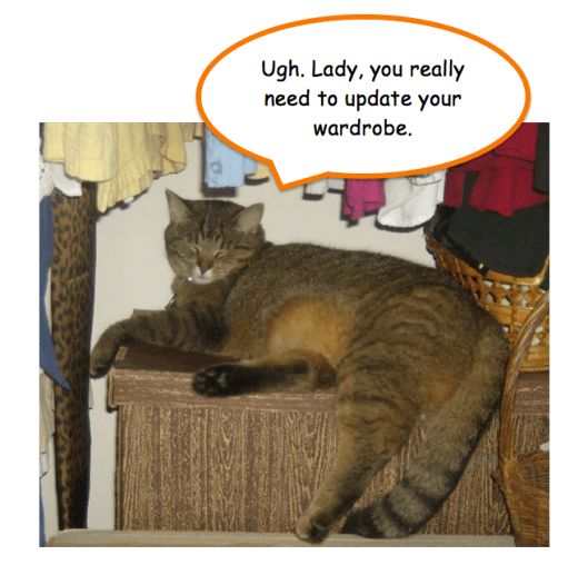 tabby cat lounging in clothes closet