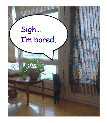 black cat looking out window comic bubble i'm bored