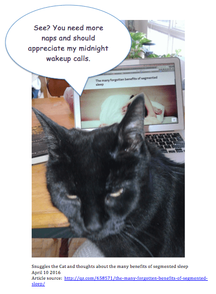 Black cat in front of Mac computer