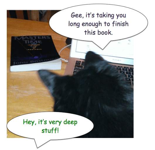 comic speech bubbles of black cat critiquing human reading efforts