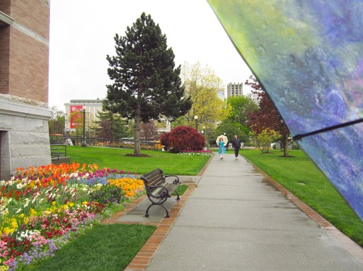 Flowers rain Victoria 